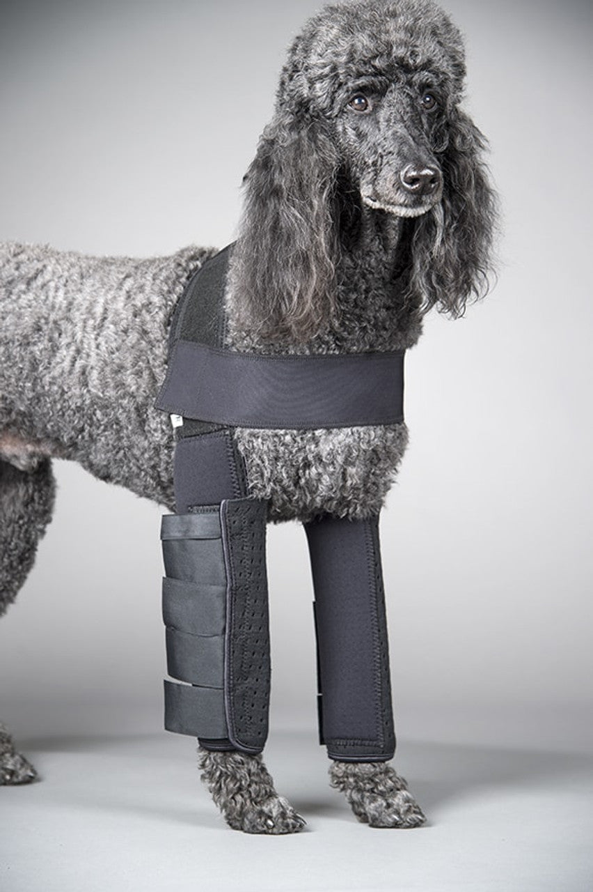 Full Length Adjustable DogLeggs